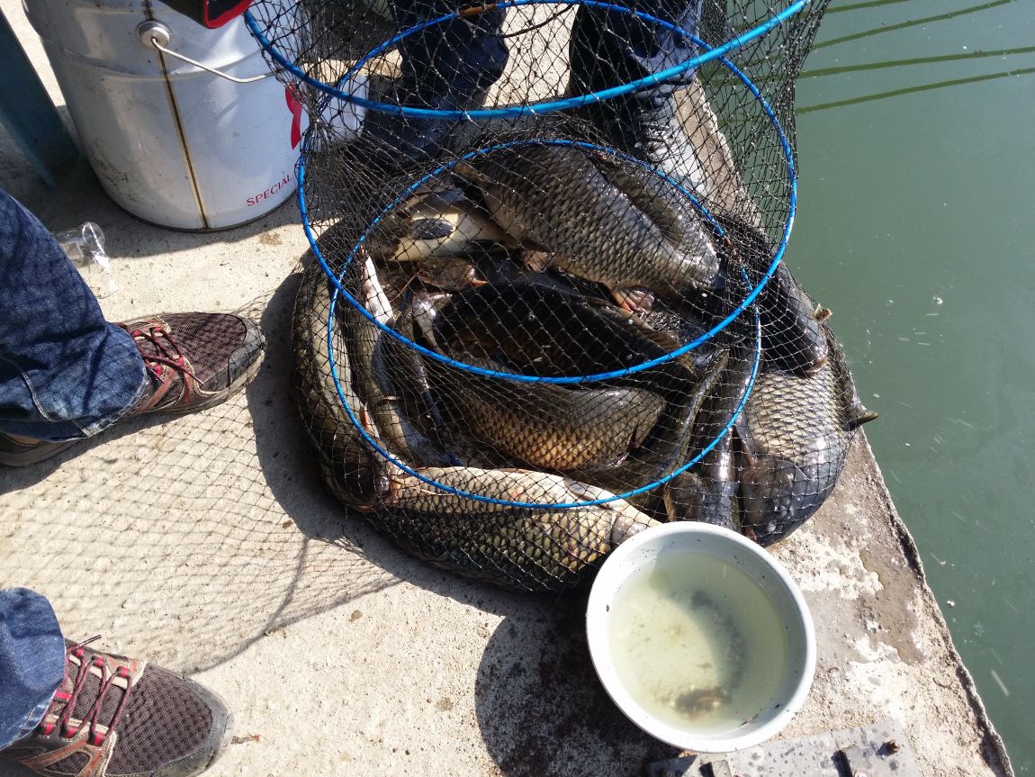 20150425_085258.jpg