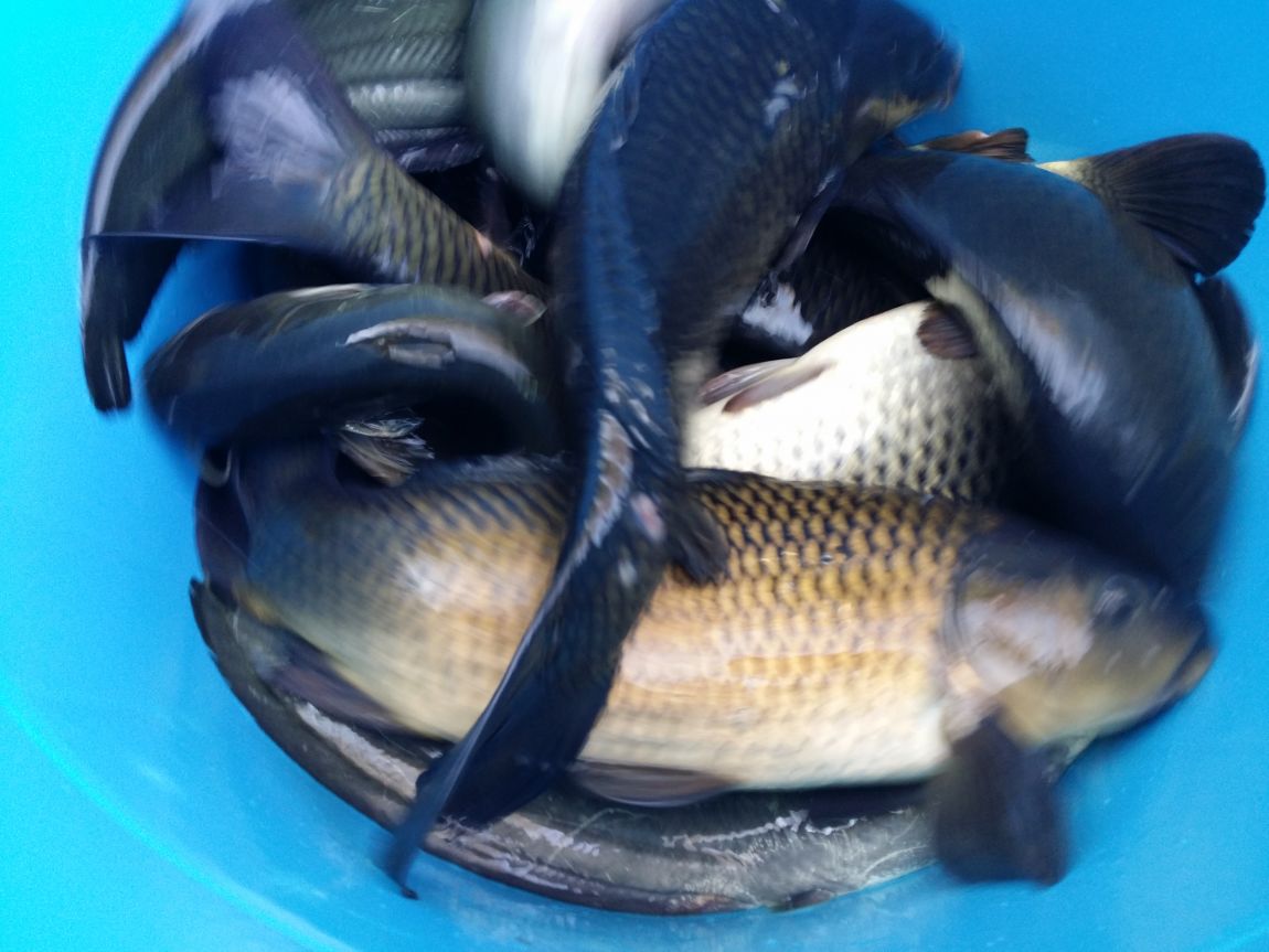 20150425_082508.jpg