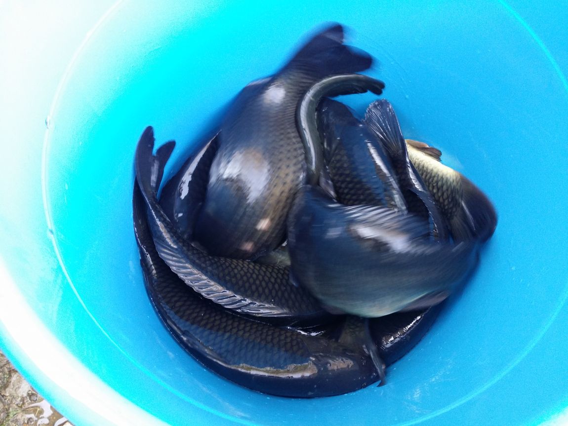 20150425_082455.jpg
