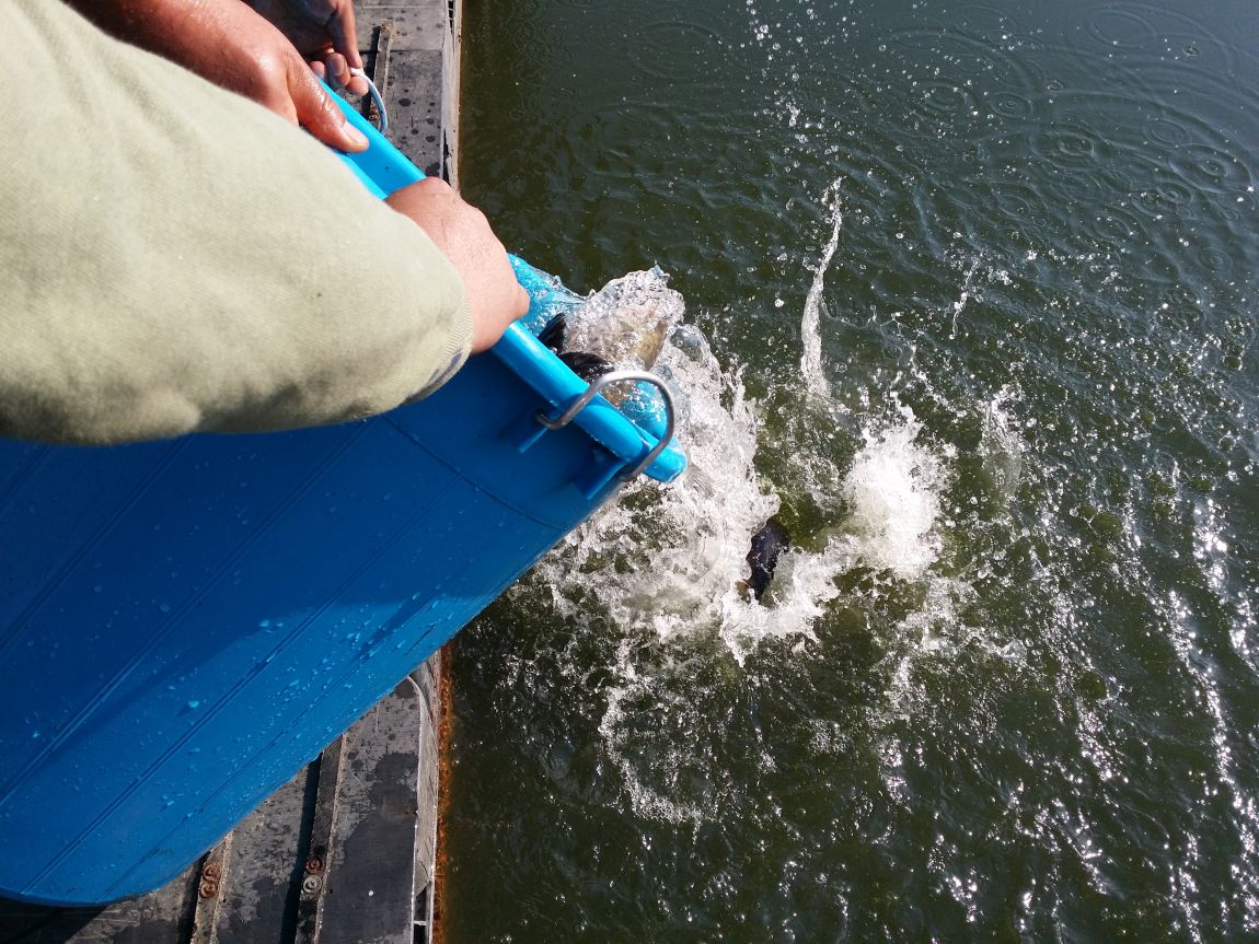 20150425_082217.jpg