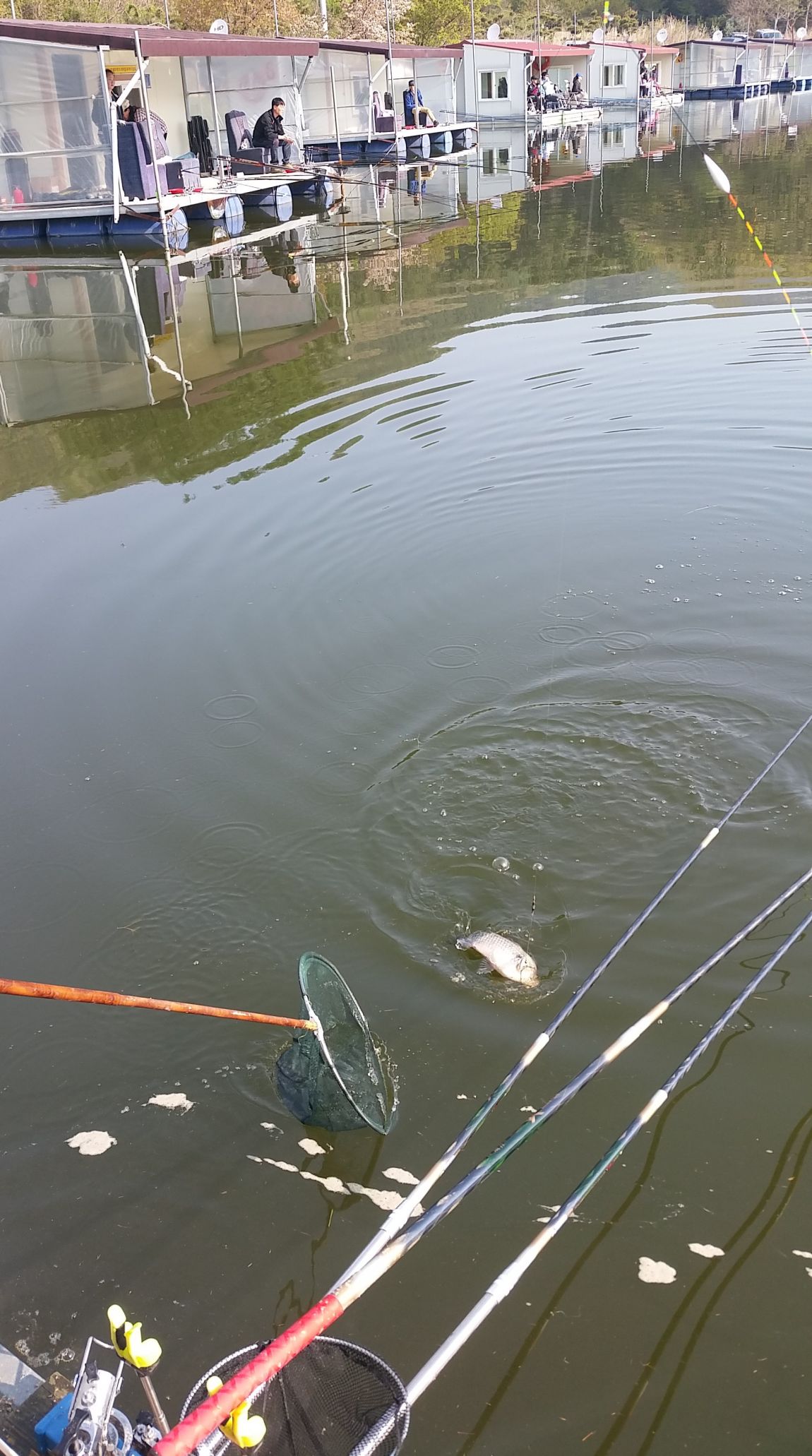 20150426_084735 (1).jpg