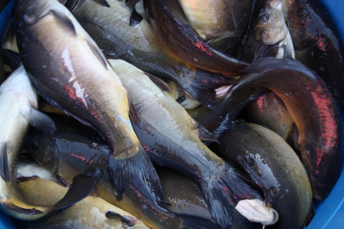 4��27�� 018.JPG