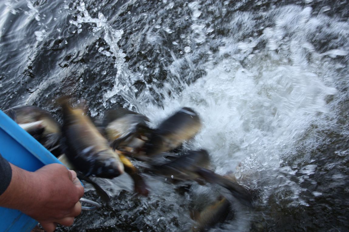 4��27�� 025.JPG