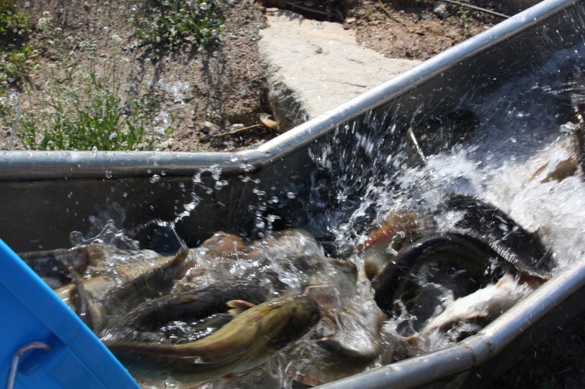 4��27�� 034.JPG