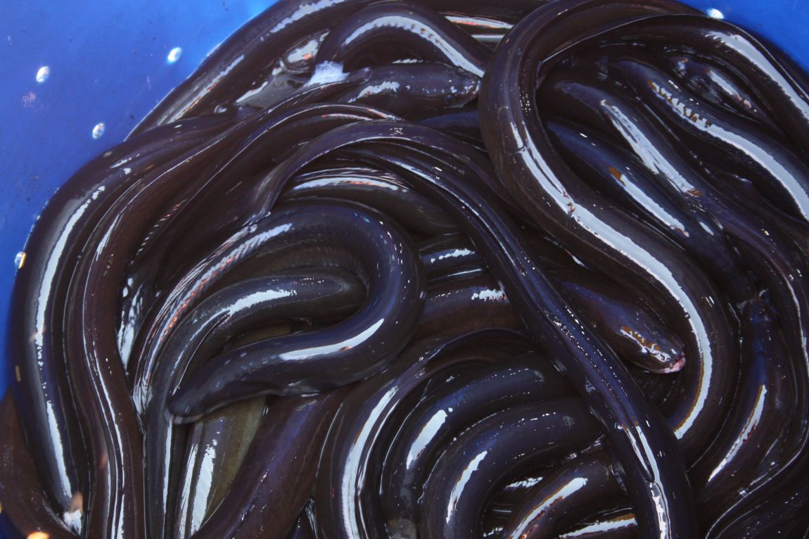 4��27�� 079.JPG