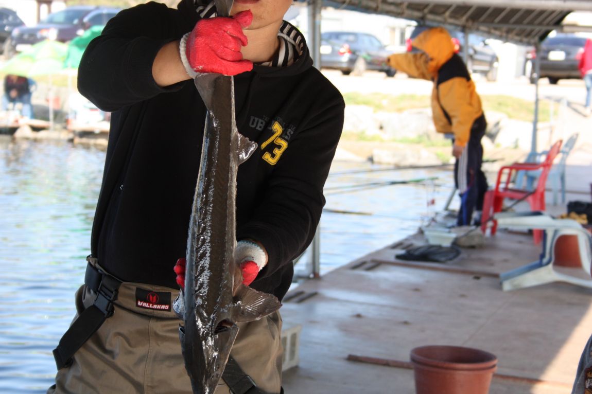 4��27�� 086.JPG