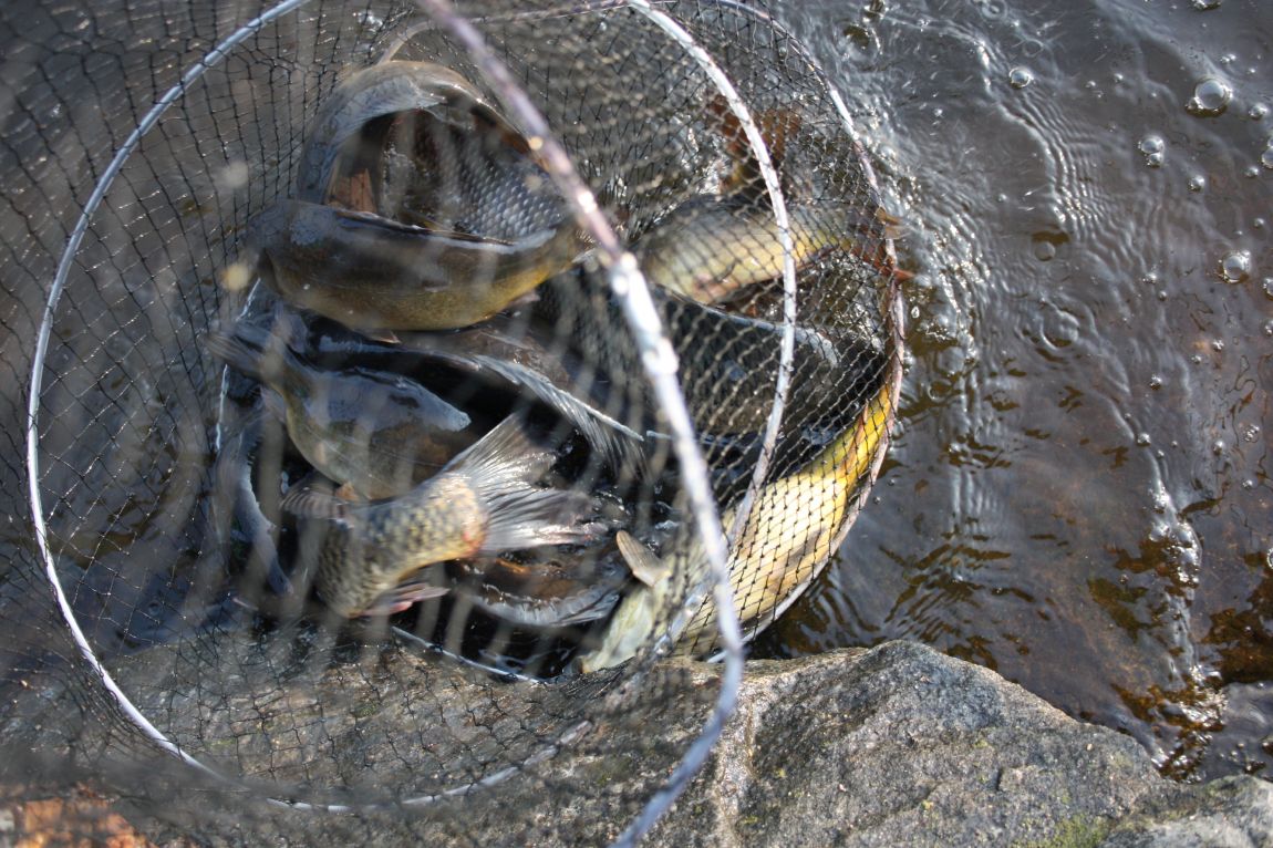 4��27�� 102.JPG