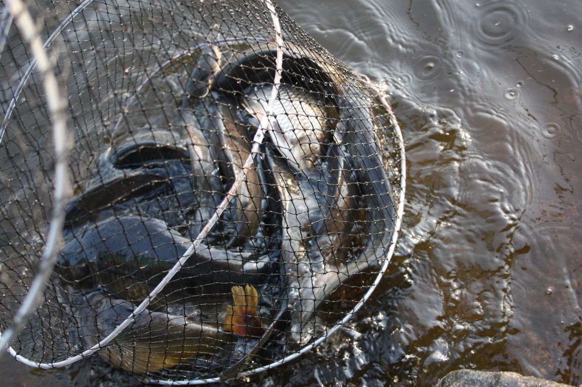 4��27�� 104.JPG