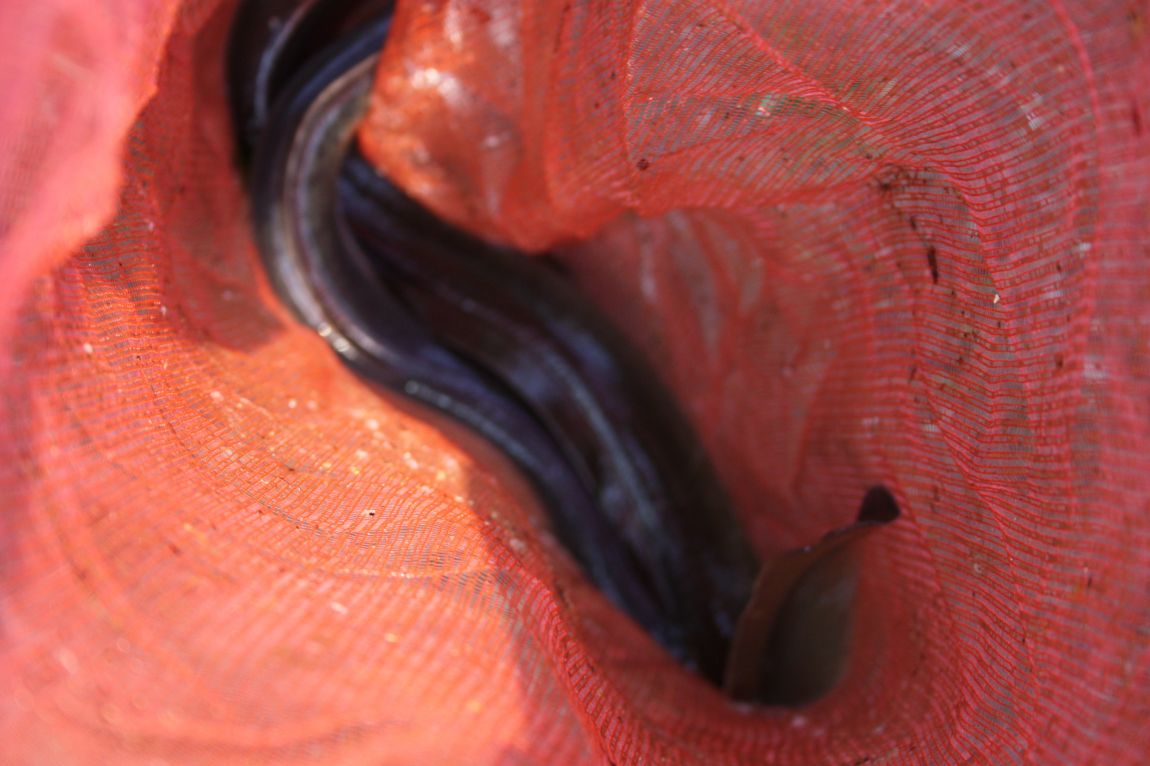 4��27�� 109.JPG