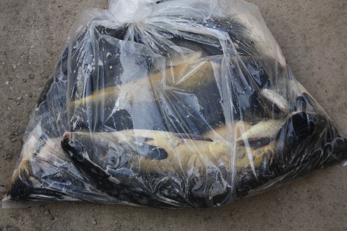 4��27�� 115.JPG