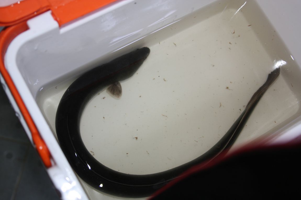 4��27�� 117.JPG