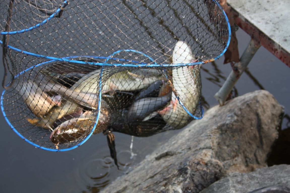 4��27�� 121.JPG