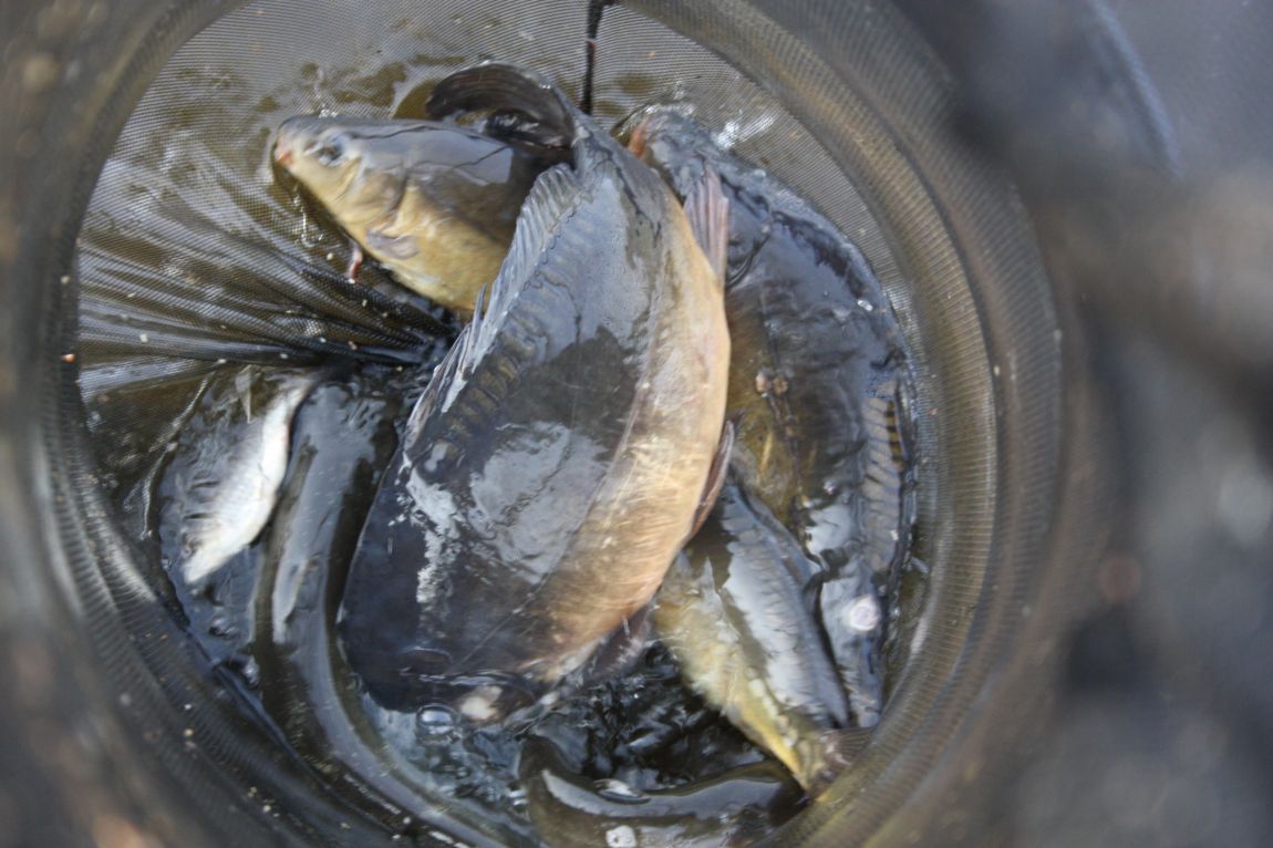 4��27�� 126.JPG