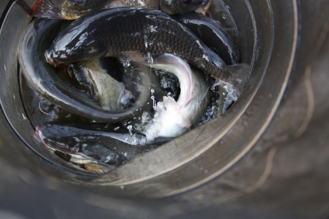 4��27�� 127.JPG