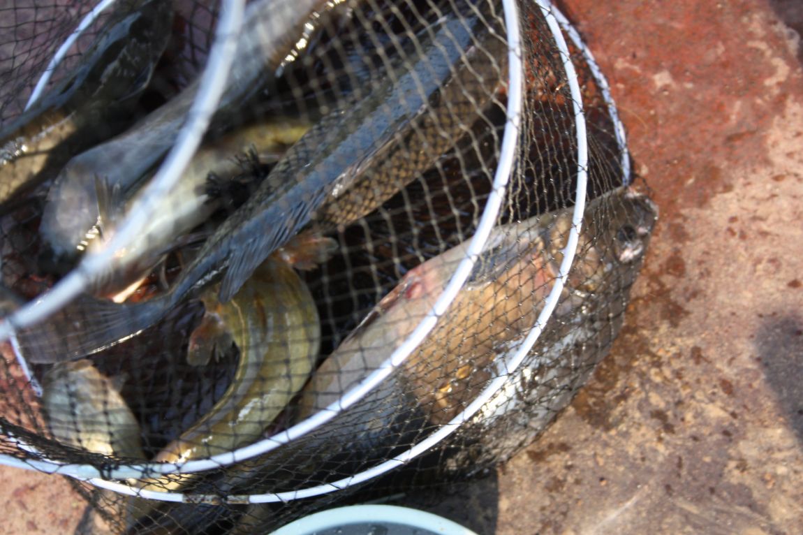 4��27�� 137.JPG