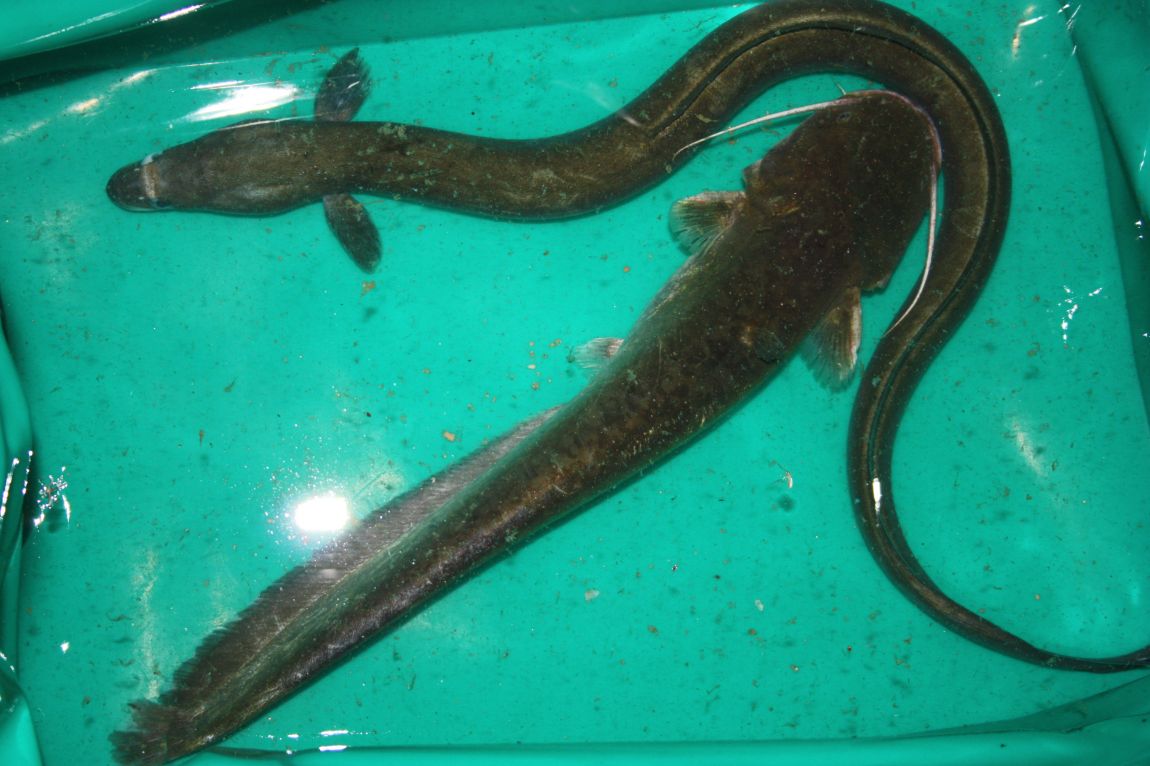 4��27�� 192.JPG