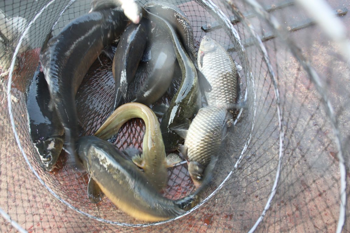 4��27�� 197.JPG