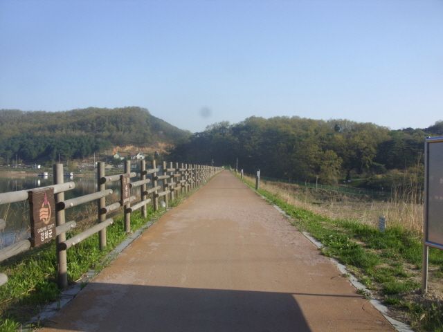 5.JPG