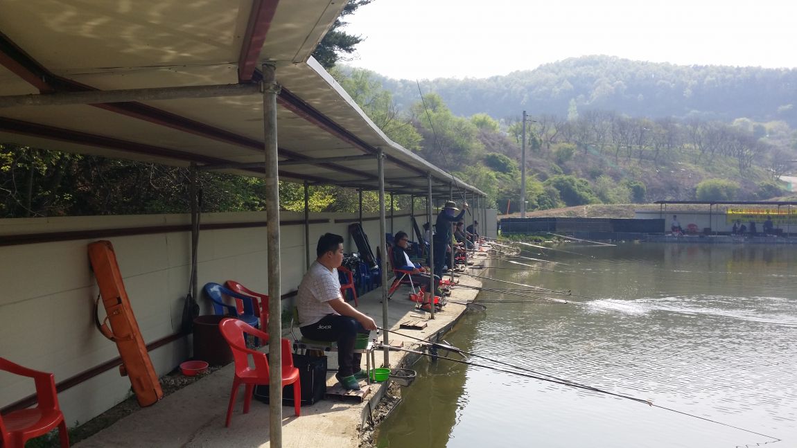 20150426_151626.jpg