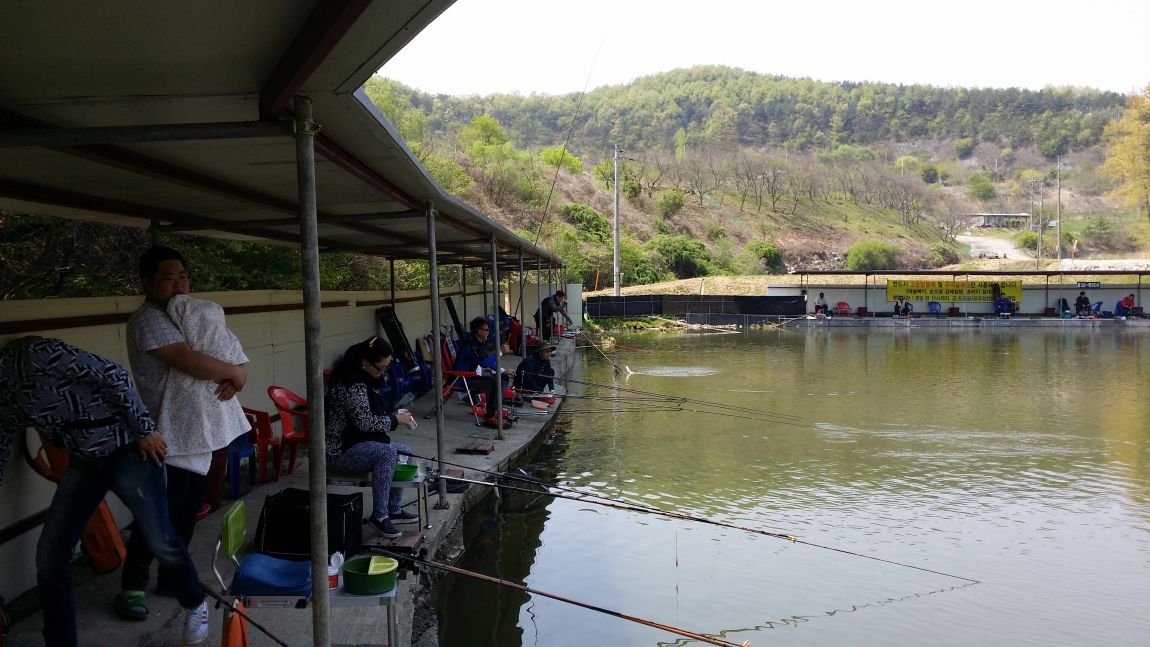 20150426_115419.jpg