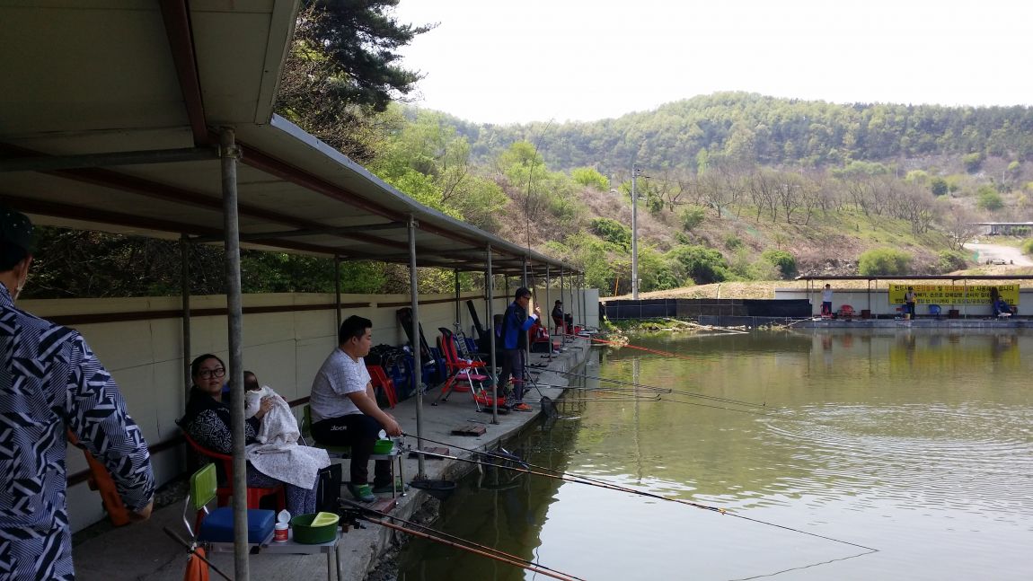 20150426_122815.jpg