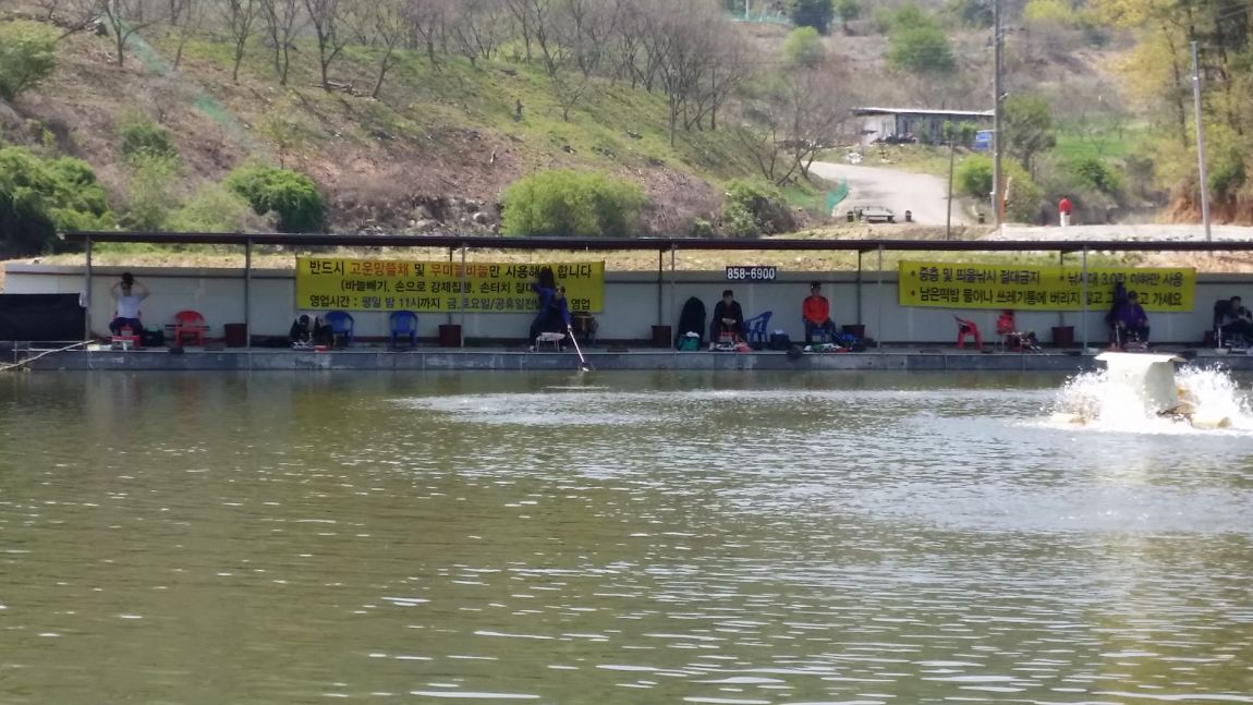 20150426_123347.jpg