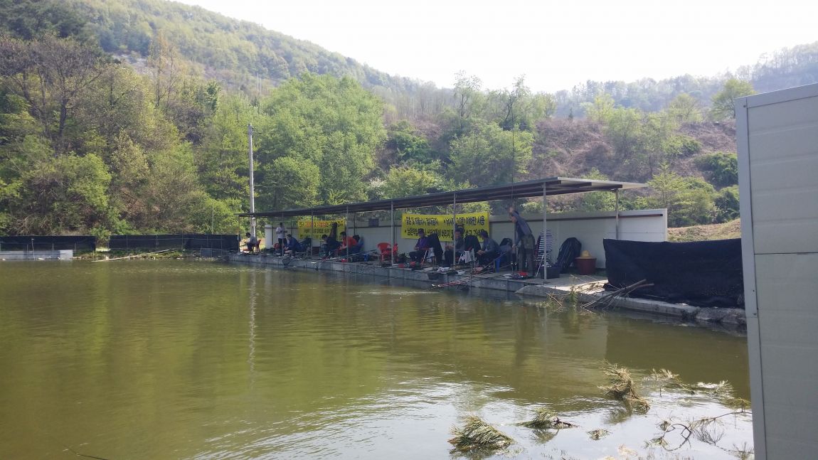 20150426_141746.jpg
