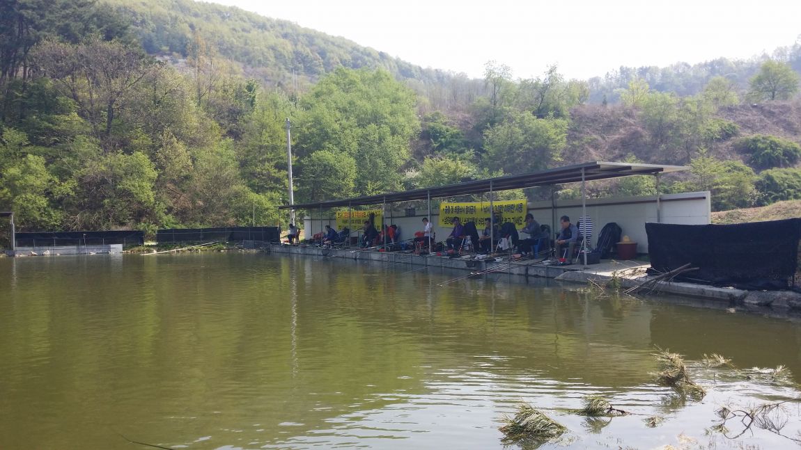 20150426_141842.jpg