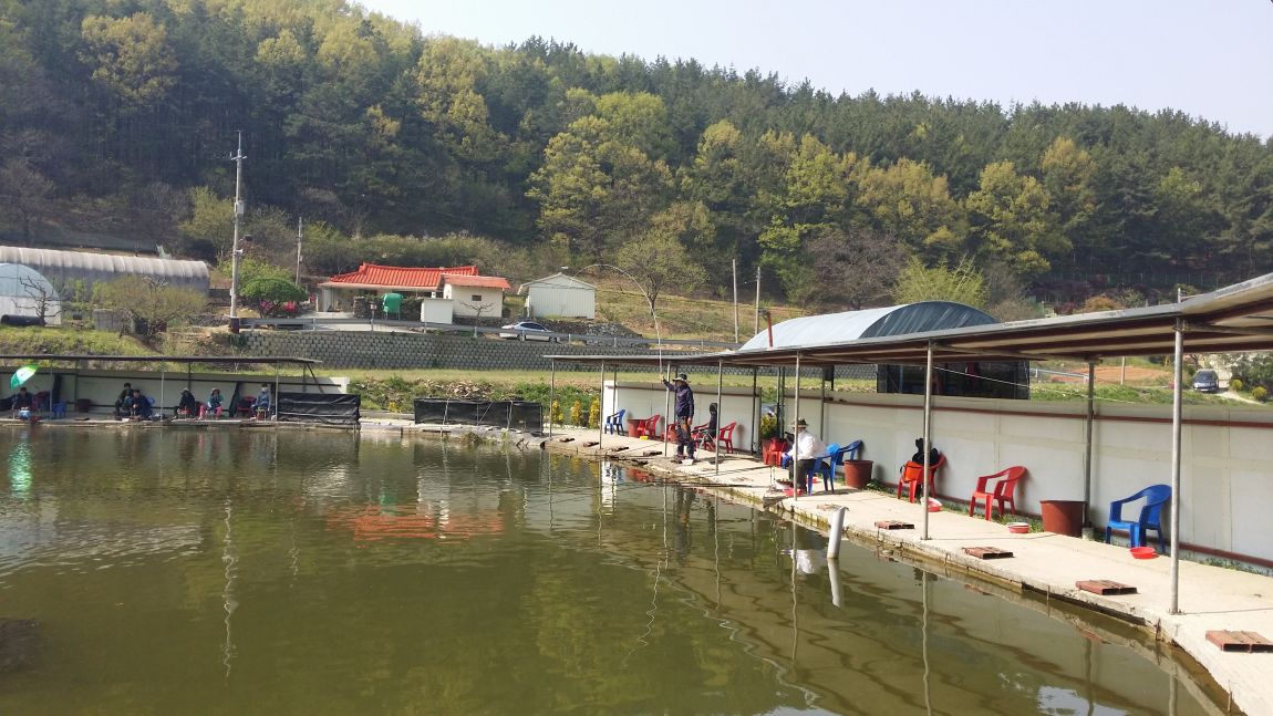 20150426_150911.jpg