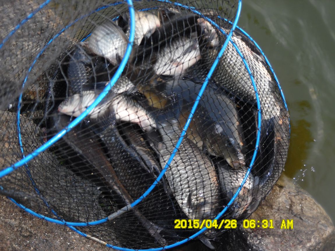 4��24,25,26 134.JPG