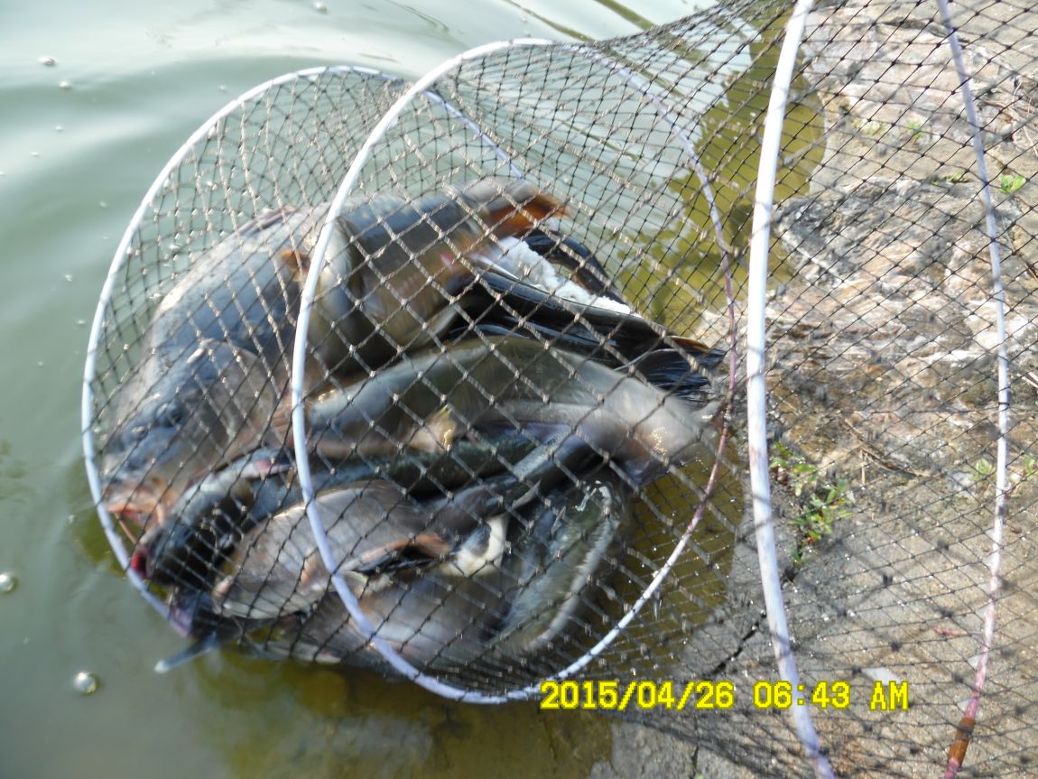 4��24,25,26 138.JPG