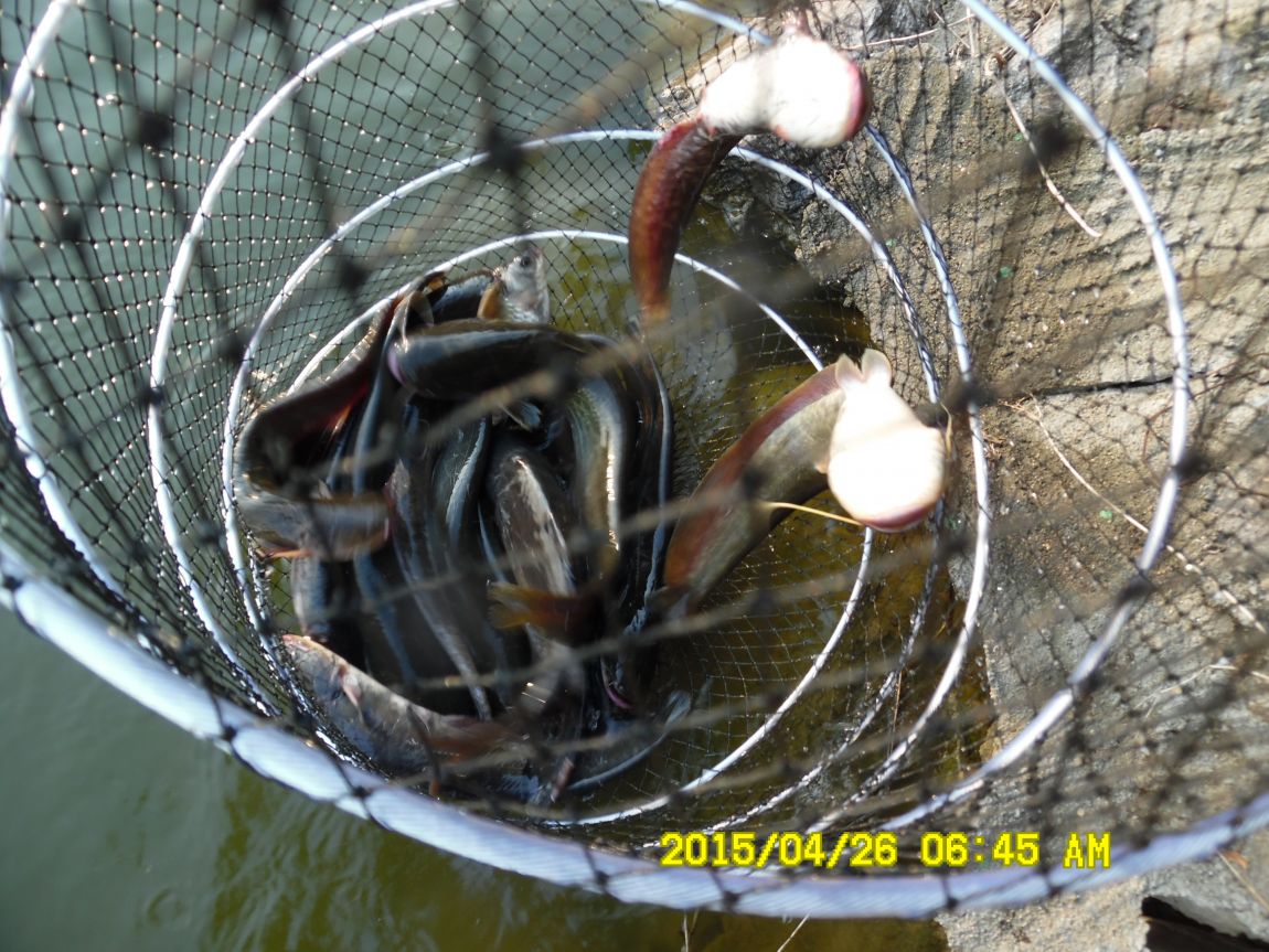 4��24,25,26 140.JPG