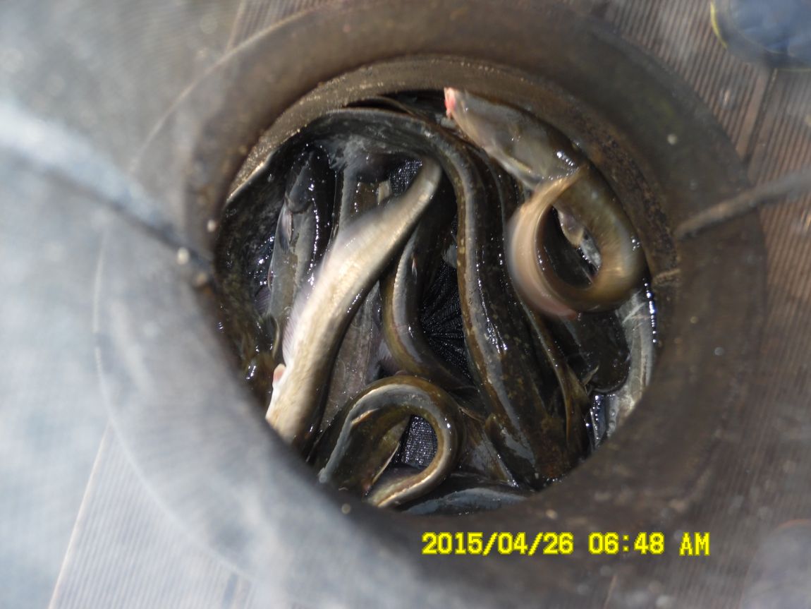 4��24,25,26 143.JPG