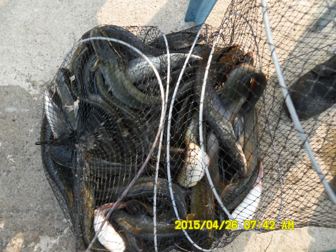 4��24,25,26 148.JPG