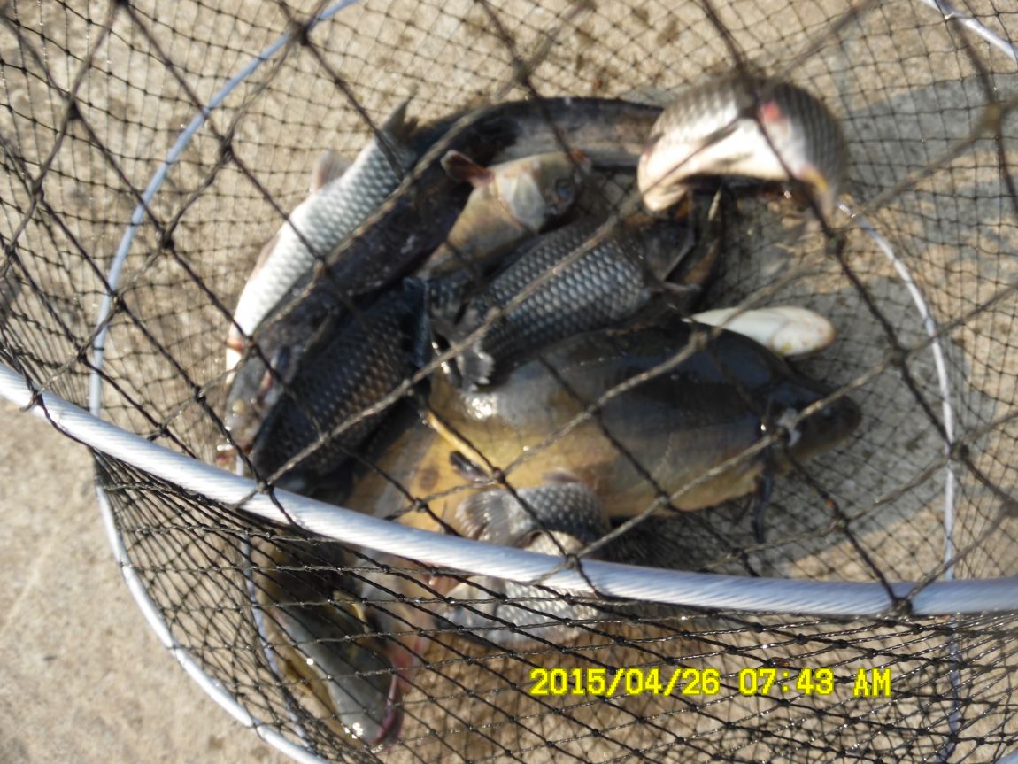 4��24,25,26 149.JPG