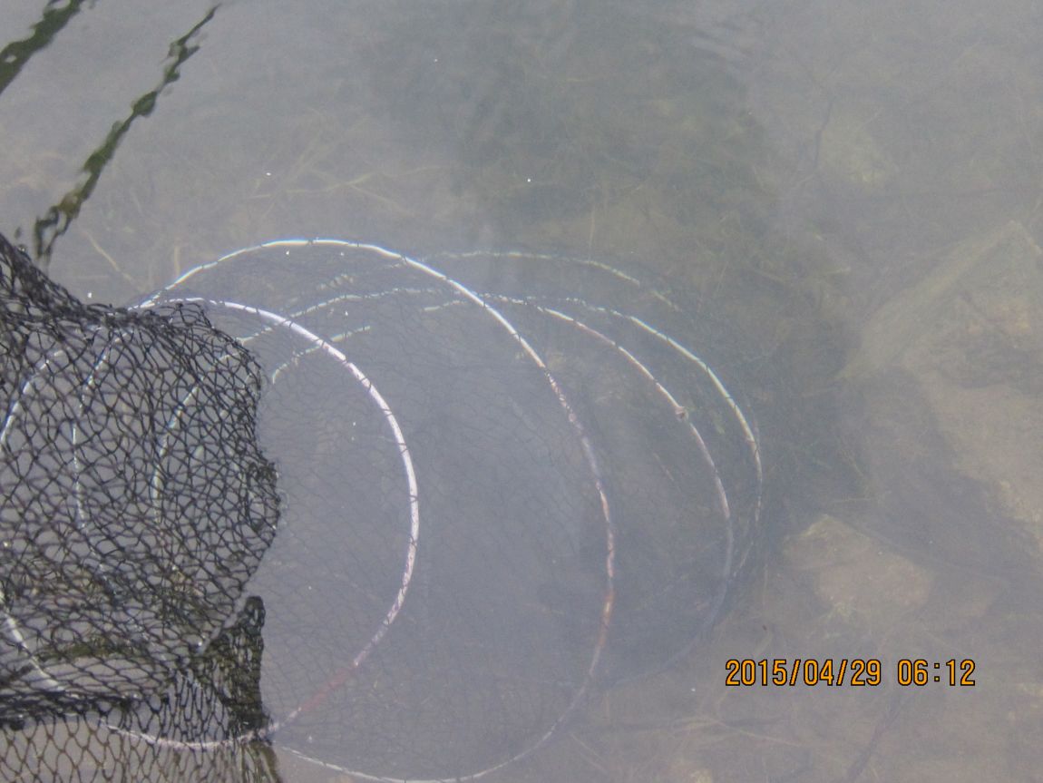 4��29�� 009.JPG