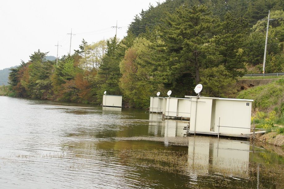 ���� ����.jpg