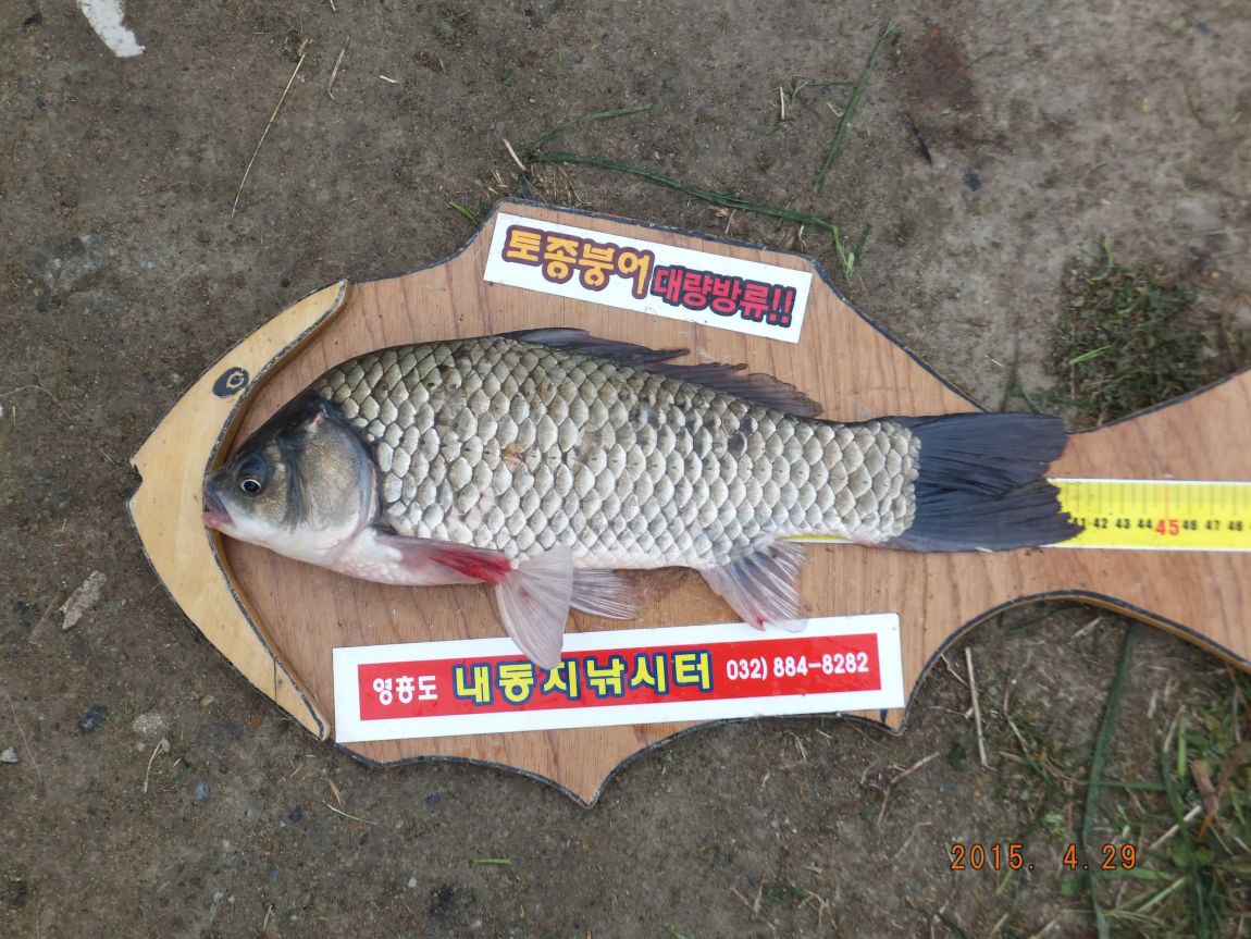 201300703 012.jpg