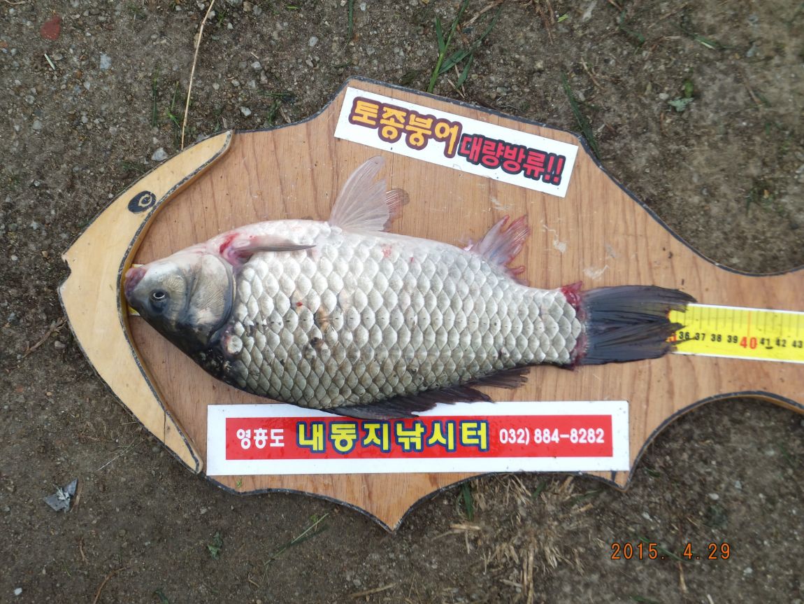 201300703 015.jpg