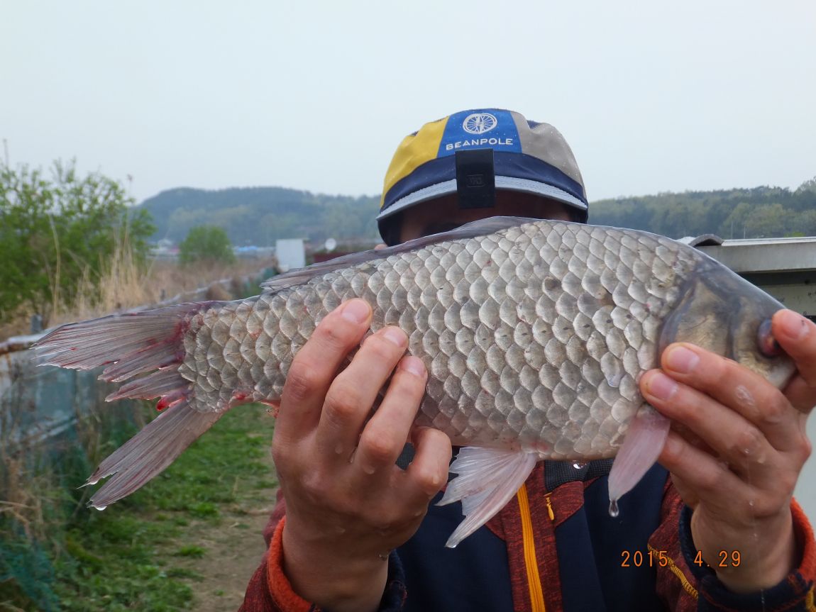 201300703 018.jpg