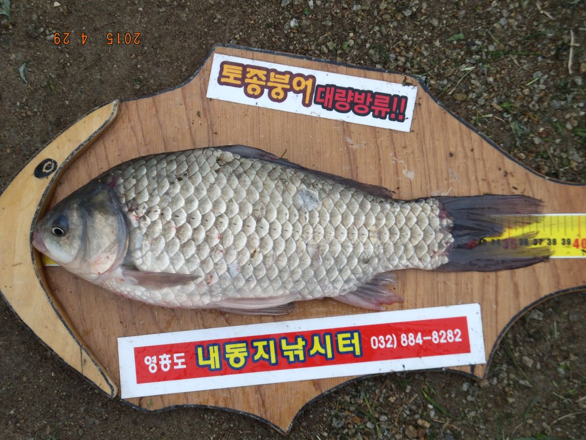 201300703 017.jpg