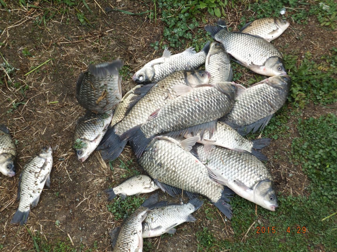 201300703 032.jpg