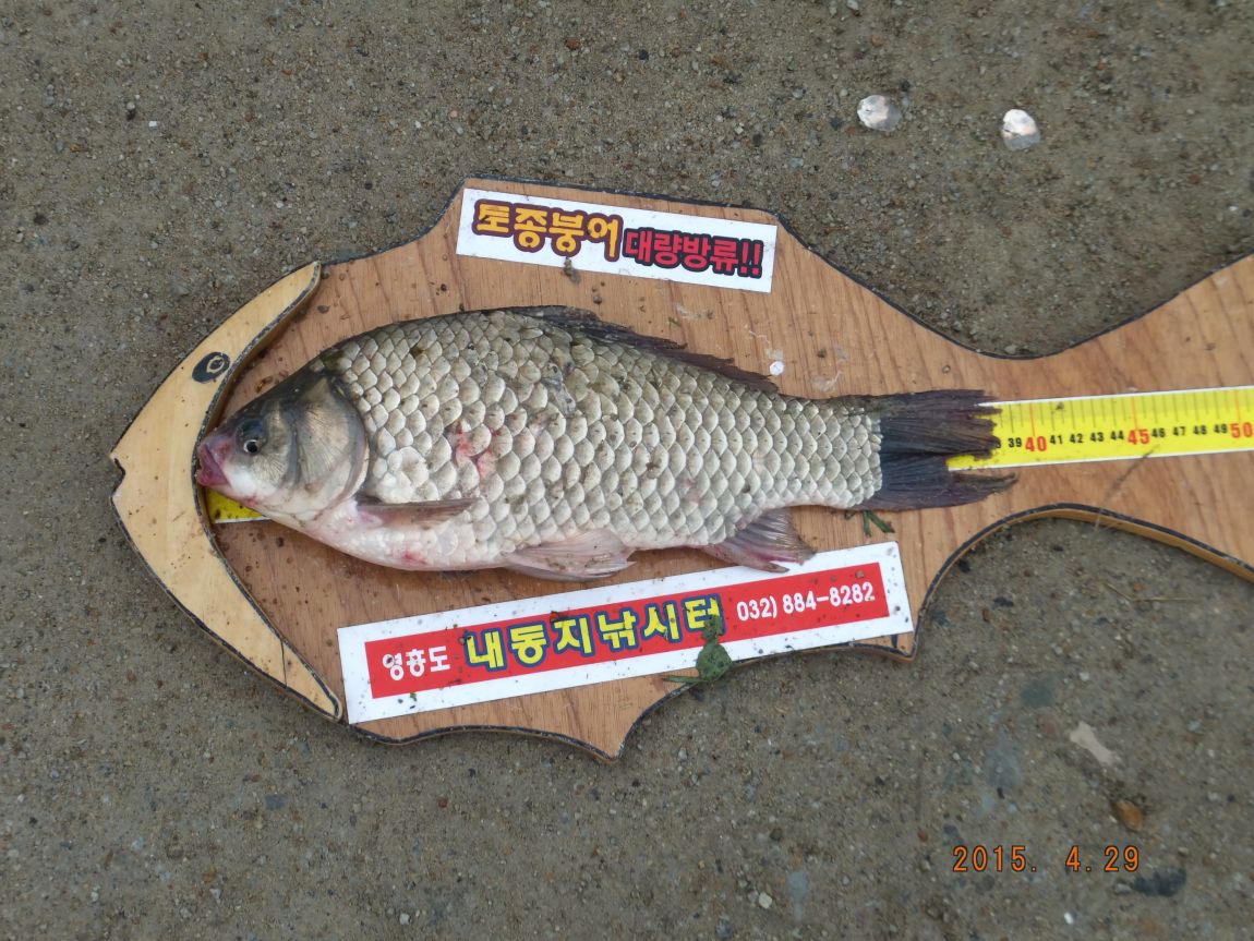 201300703 019.jpg