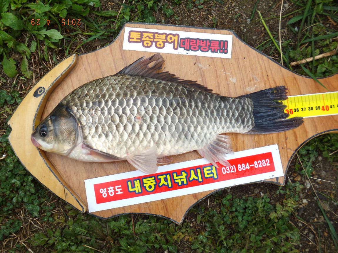 201300703 027.jpg