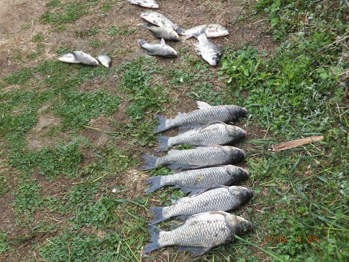 201300703 033.jpg