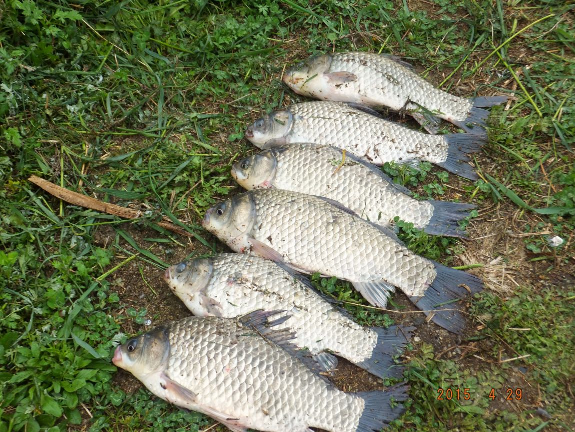 201300703 036.jpg