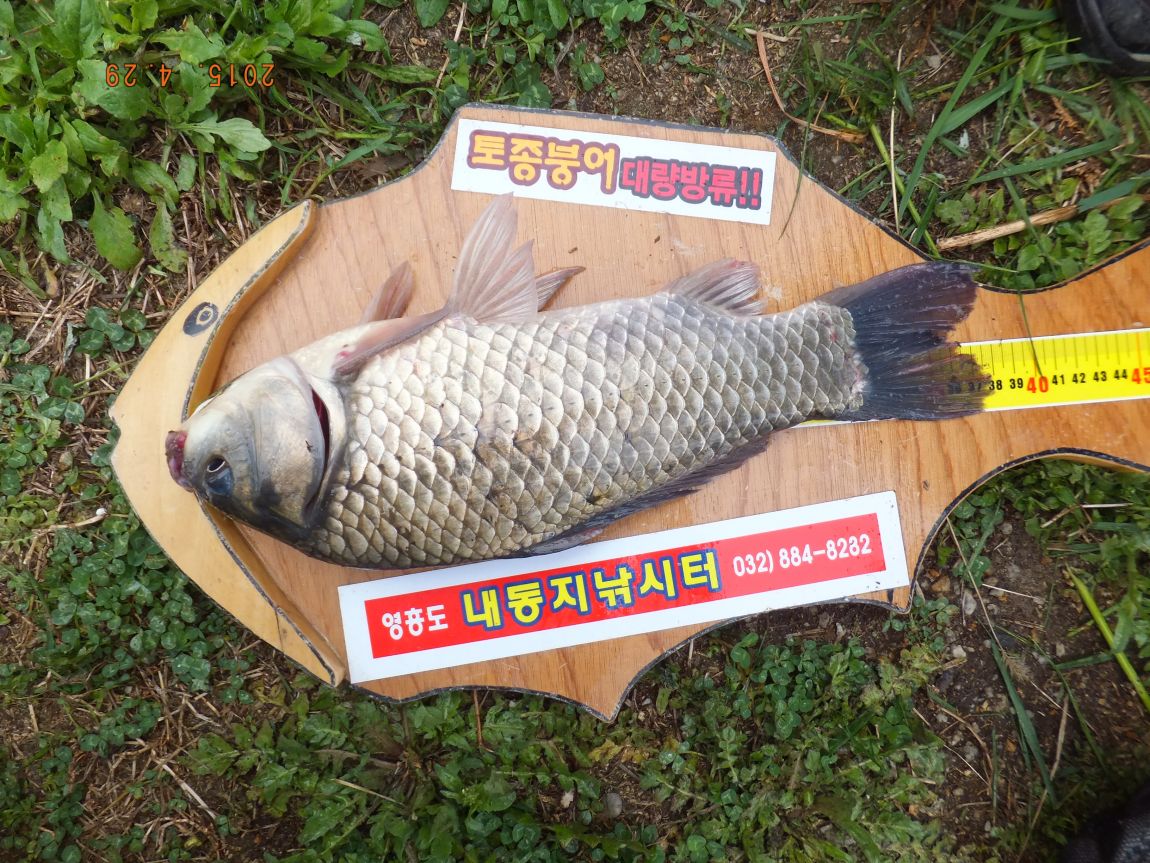 201300703 028.jpg