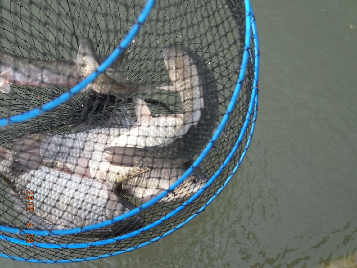 201300703 011.jpg