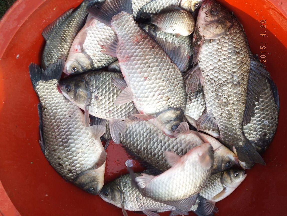 201300703 010.jpg