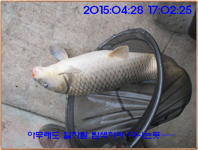 �ٹ̱�_IMG_1148.JPG